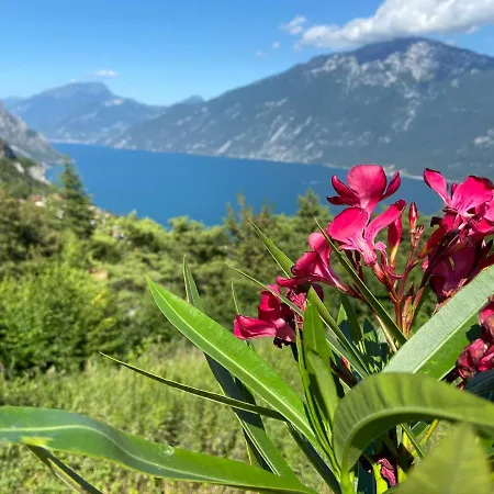 Appartement Un Balcone Sul Garda à Tremosine Extérieur photo