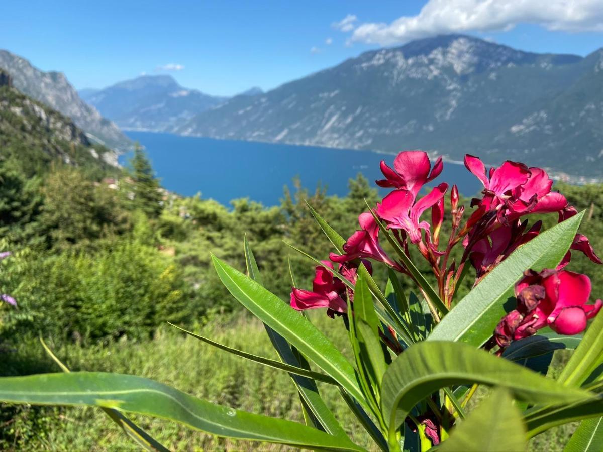 Apartment Un Balcone Sul Garda *
